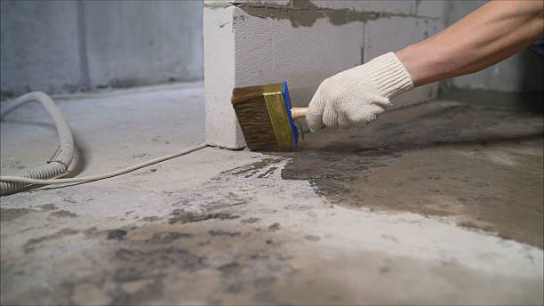 SJ Waterproofing Pros Waterproofing coverage map for Fulton, IL and surrounding area